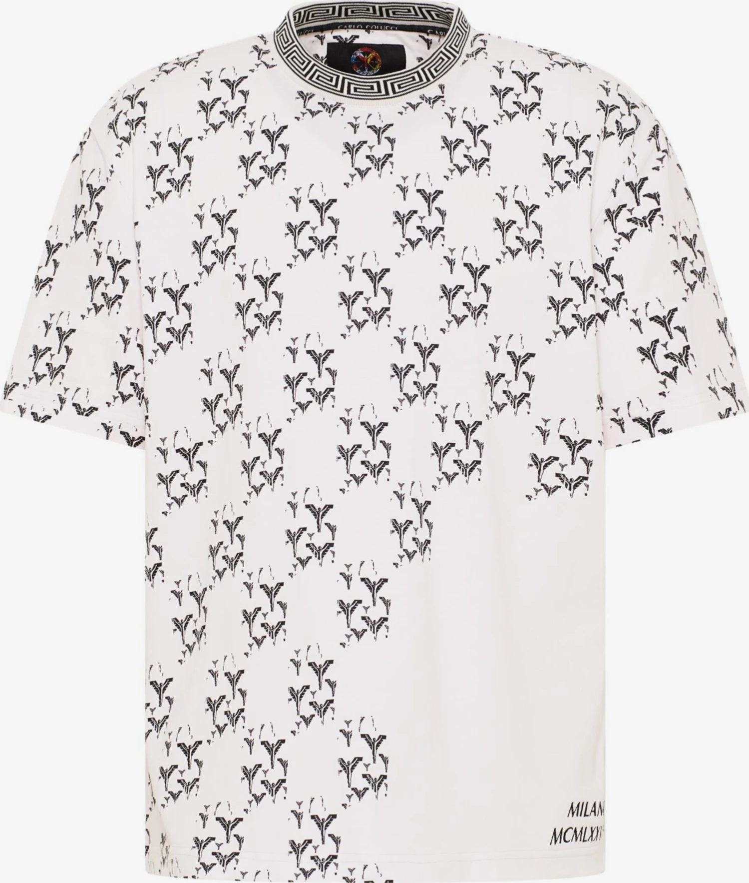 CARLO COLUCCI T-shirts T-Shirt De Paoli Homme Blanc 3 CARLO COLUCCI T-shirts T-Shirt De Paoli Homme Blanc